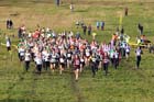 Senior womens start, 2012 Start Fitness North East Harrier League, Cramington.